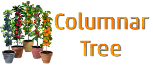 Columnar Tree